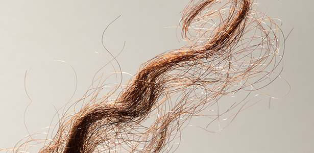 main rasmussen2HR.jpg